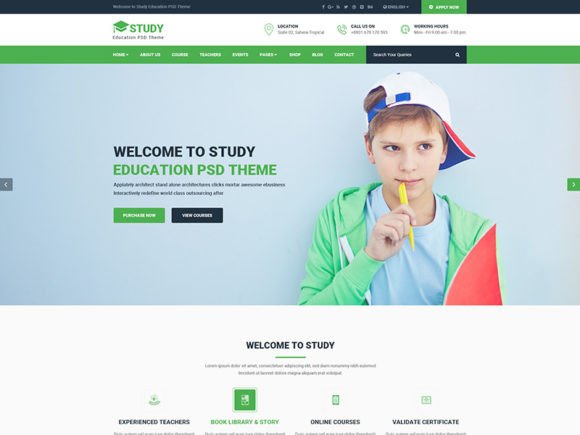 Building a Professional Learning Platform with the 01 Online Education PSD Template