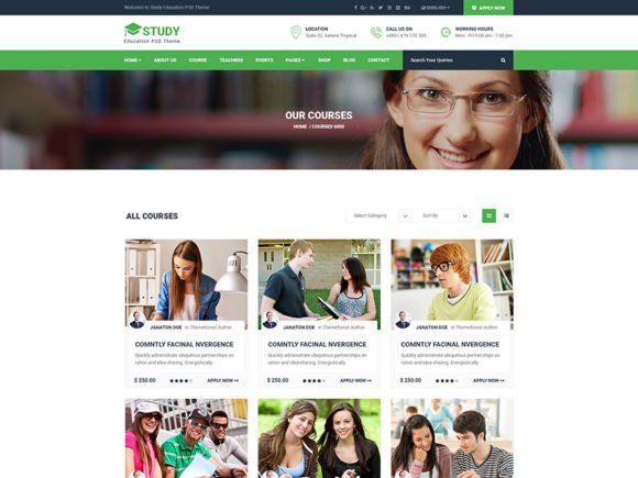 Mastering the 01 Courses Page Grid Style for Modern Web Design